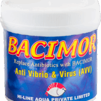 Bacimor AVV (Anti Vibrio and Virus probiotic) - 100 g