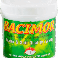 Bacimor WSQ (Water & Soil Quality Probiotic) - 100 g